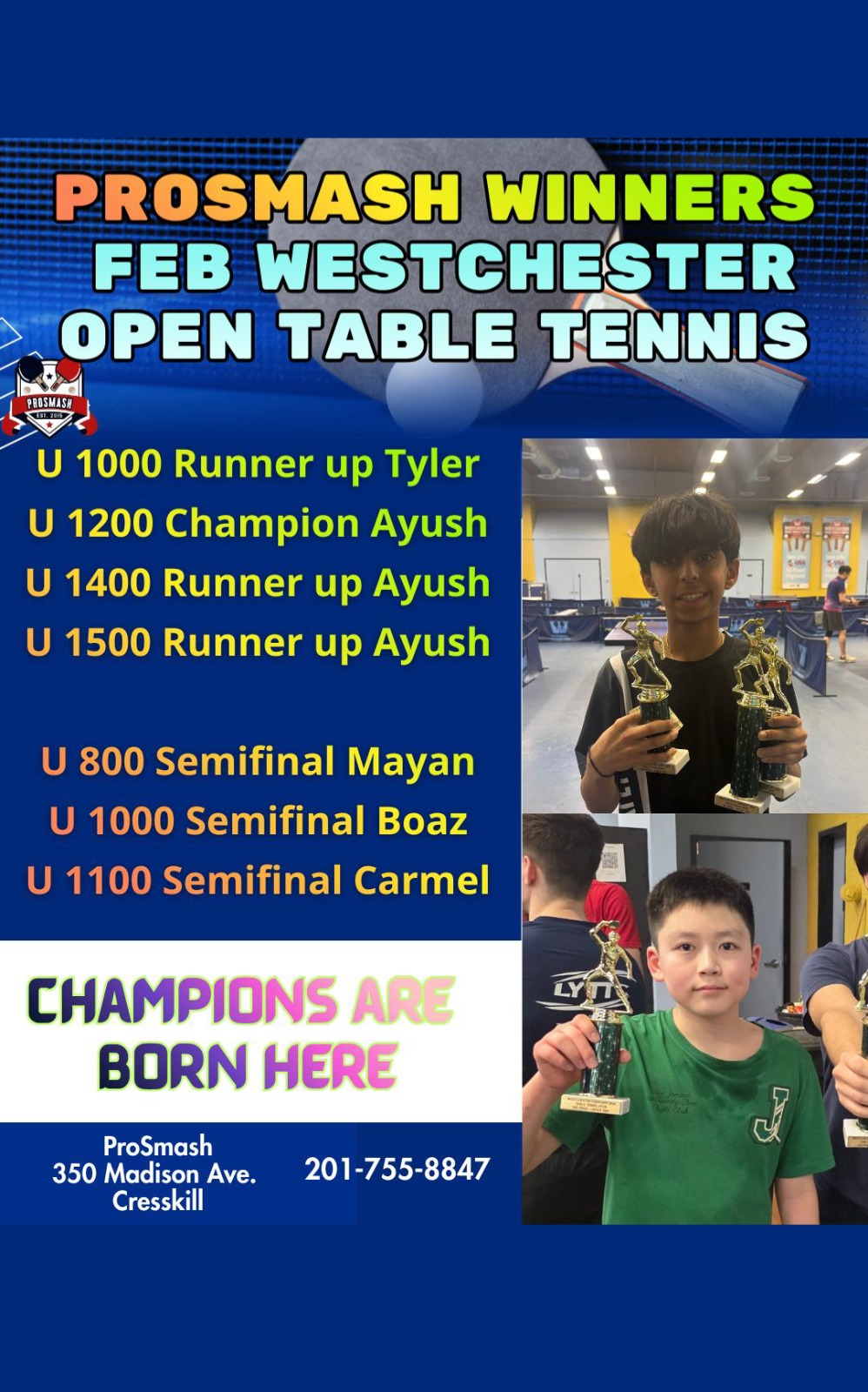 Winner Wall 7@4x-100